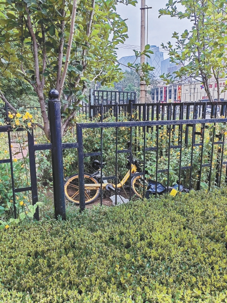 水碓子公交车站南侧：一辆分享单车“驶”不得